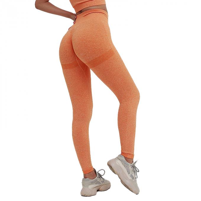 Των καυτών γυναικών Saling υψηλά μέσης Tummy ελέγχου αδυνατίσματος καλσόν ανελκυστήρων άκρης Workout τρέχοντας συν το εσώρουχο γιόγκας αθλητριών μεγέθους