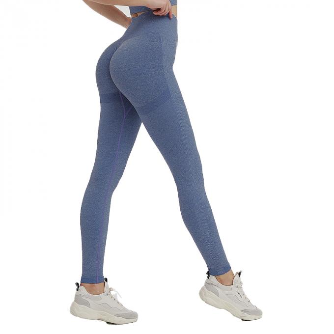 Των καυτών γυναικών Saling υψηλά μέσης Tummy ελέγχου αδυνατίσματος καλσόν ανελκυστήρων άκρης Workout τρέχοντας συν το εσώρουχο γιόγκας αθλητριών μεγέθους